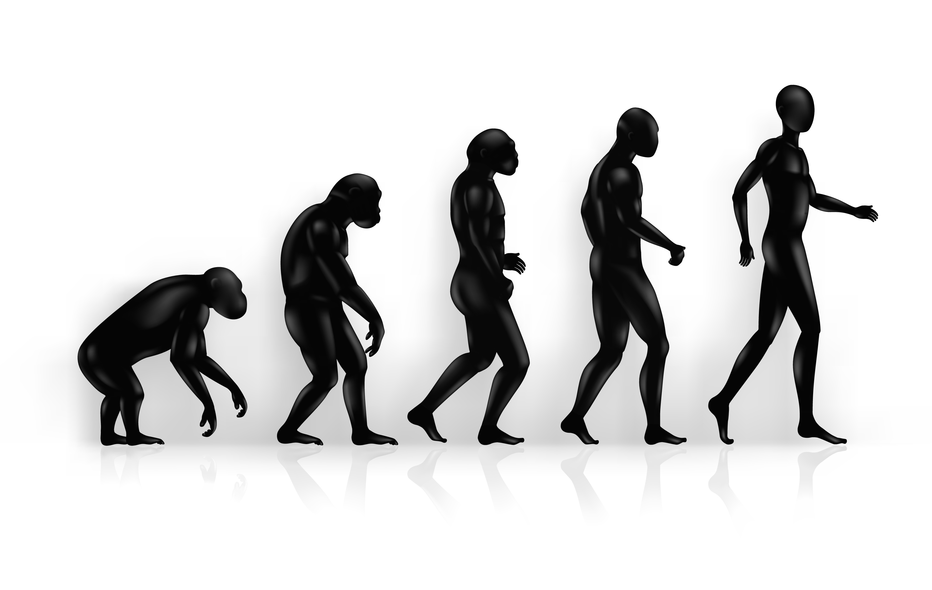 cloning the next step to mankinds evolution cloning the next step to mankinds evolution