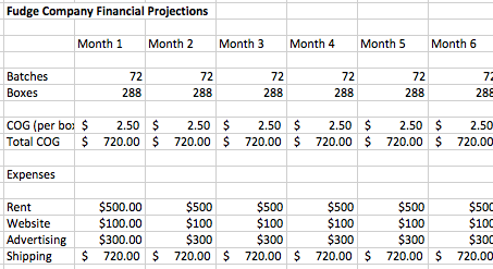 Start a Business Sample Financials