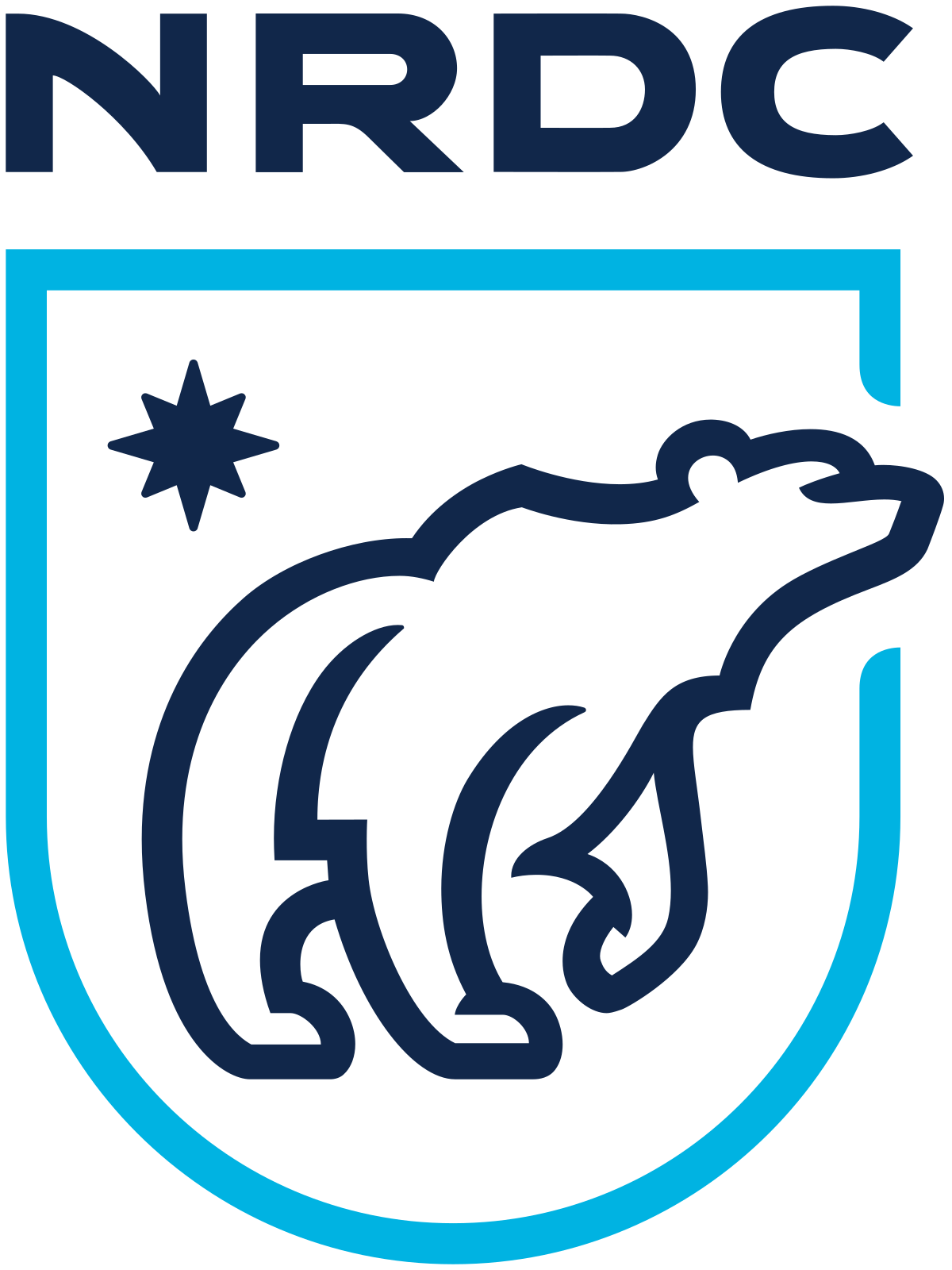 NRDC Environmental Logo Design 