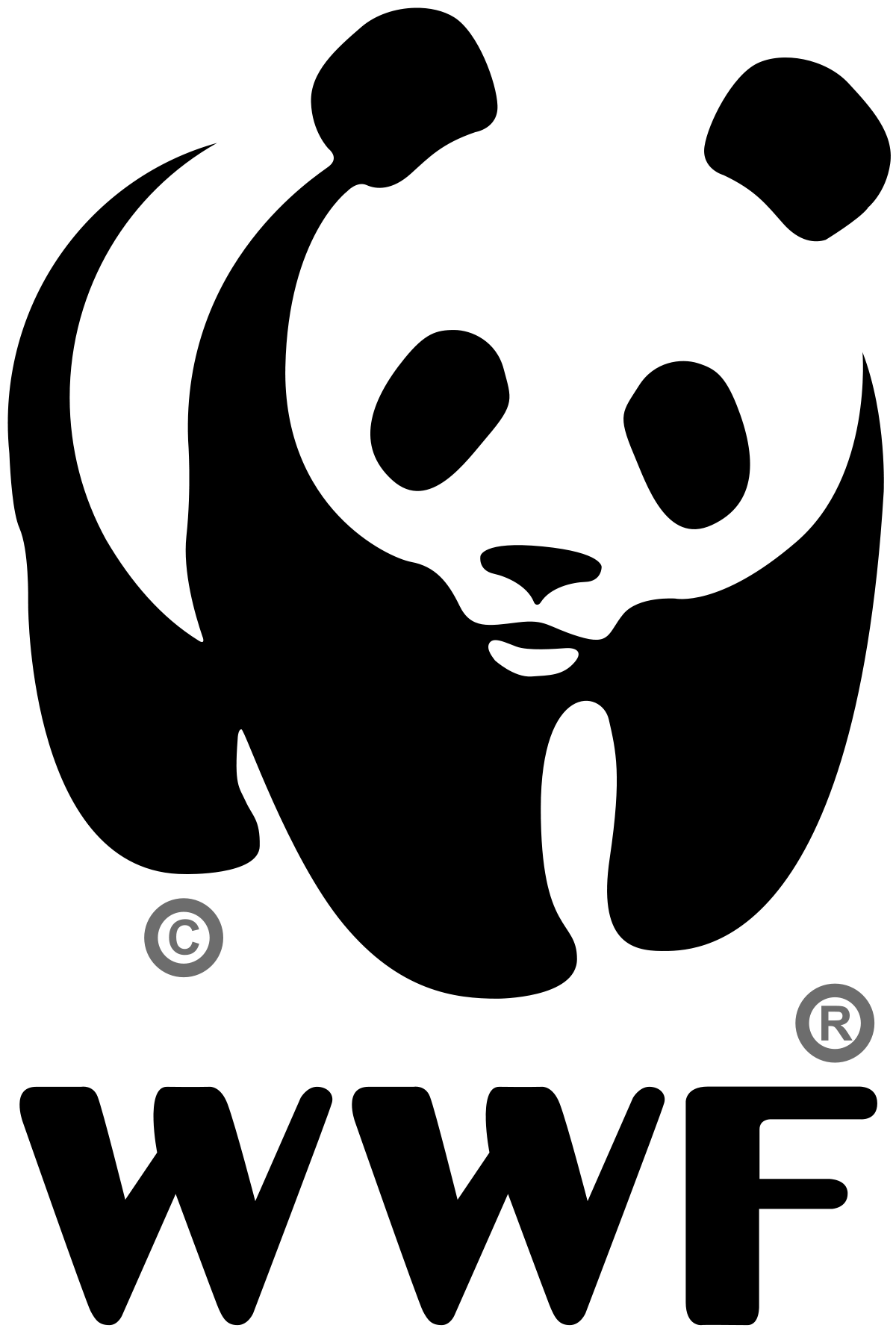 World Wildlife Fund Panda Logo Design