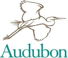 Audobon Bird Logo Design