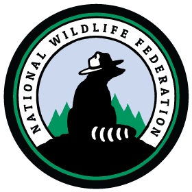 National Wildlife Federation Bear Logo Design 