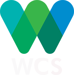 WCS initial Logo Design 