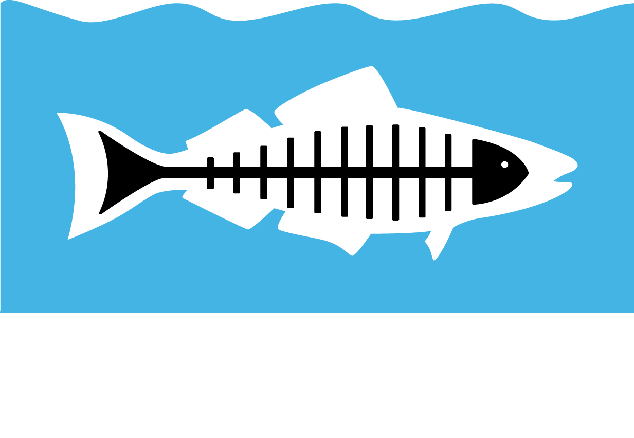 Heal The Bay Fish Logo Design 