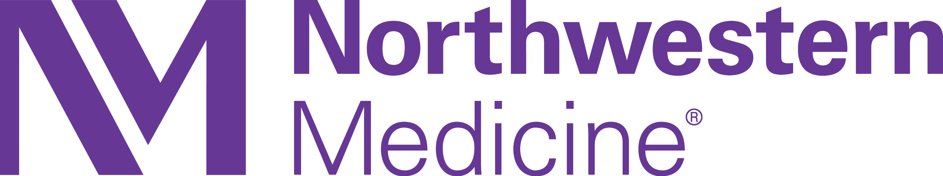 Northwestern Medicine Text Logo Design