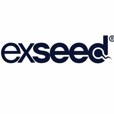 Exseed Icon Logo Design 