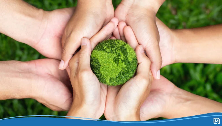 Hands holding a green earth
